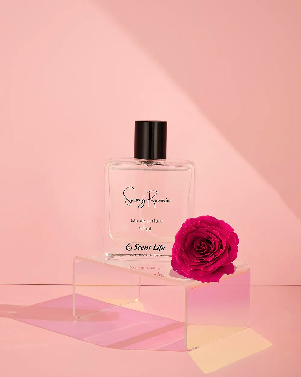 The Spring Reverie eau de parfum by Scent Life is gracefully showcased on a transparent stand, set against a pink backdrop. Next to it, a bright pink rose and cactus flower are artfully arranged, their soft shadows enhancing the scene's gentle charm.